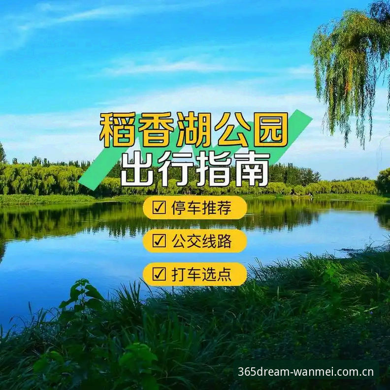 完美体育平台下载全攻略：从注册到体验的详细指南